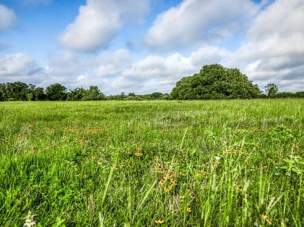 7 S Nassau Rd, Round Top, TX 78954 thumbnail 6