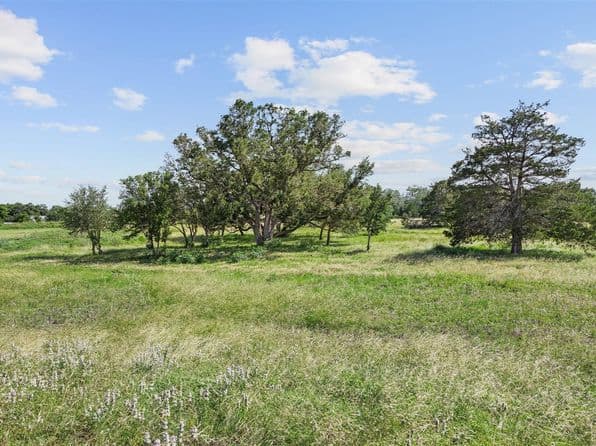 W Fm 1291 Tract 2, Round Top, TX 78954 thumbnail 7