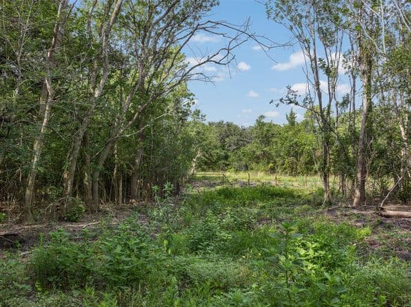0 Schuster Rd, Round Top, TX 78954 thumbnail 2