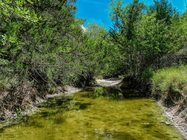 3420 Rohde Rd, Round Top, TX 78954 thumbnail 5