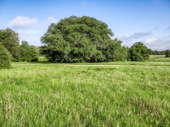 2 S Nassau Rd, Round Top, TX 78954 thumbnail 6