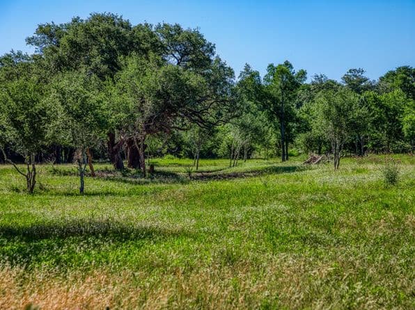 330 N Nassau Rd, Round Top, TX 78954 thumbnail 6