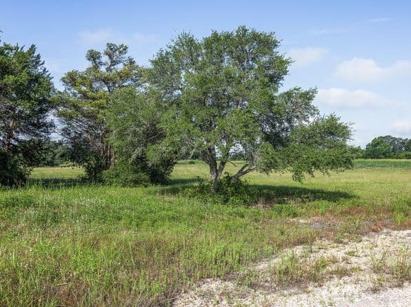 109 Compound Ln, Round Top, TX 78954 thumbnail 10