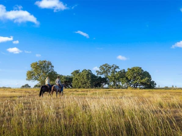 120 Hartfield Hill Ln Tract 18, Round Top, TX 78954 thumbnail 7