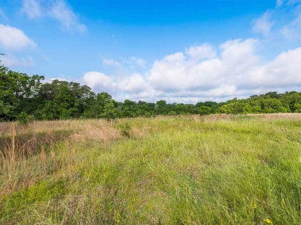 1338 Highway 237, Round Top, TX 78954 thumbnail 4