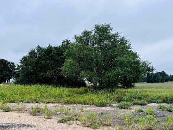 109 Compound Ln, Round Top, TX 78954 thumbnail 3