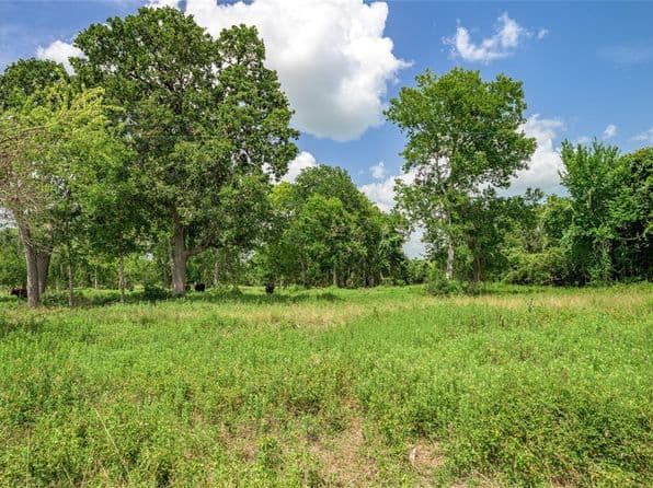 6700 Walhalla Rd, Round Top, TX 78954 thumbnail 2