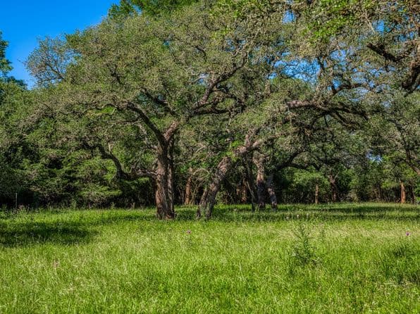 330 N Nassau Rd, Round Top, TX 78954 thumbnail 4