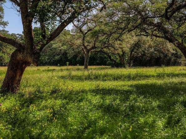 330 N Nassau Rd, Round Top, TX 78954 thumbnail 5