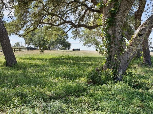 W Fm 1291 Tract 2, Round Top, TX 78954 thumbnail 4