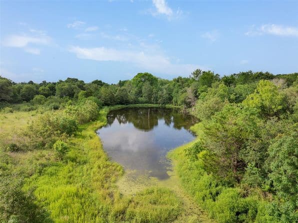 1338 Highway 237, Round Top, TX 78954 thumbnail 3