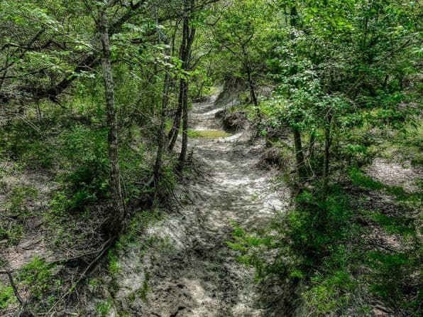 3420 Rohde Rd, Round Top, TX 78954 thumbnail 6