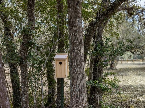 110 Drake Ln Lot 25, Round Top, TX 78954 thumbnail 9