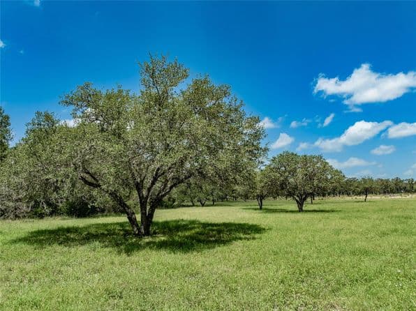 6800 Waldeck Cemetery Rd, Round Top, TX 78954 thumbnail 4