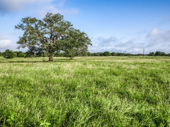 2 S Nassau Rd, Round Top, TX 78954 thumbnail 4