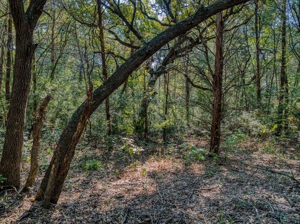 2105 N State Highway 237, Round Top, TX 78954 thumbnail 10