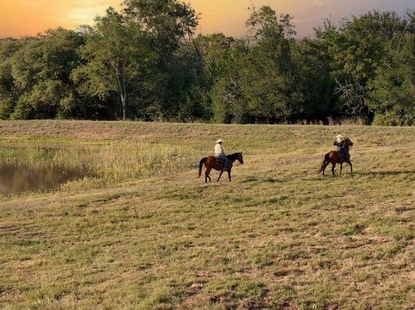 9 Round Top Rd, Round Top, TX 78954 thumbnail 4