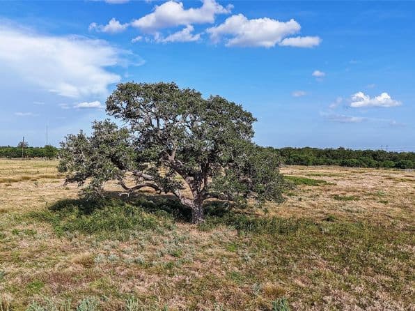 2171 E High Way #237, Round Top, TX 78954 thumbnail 5