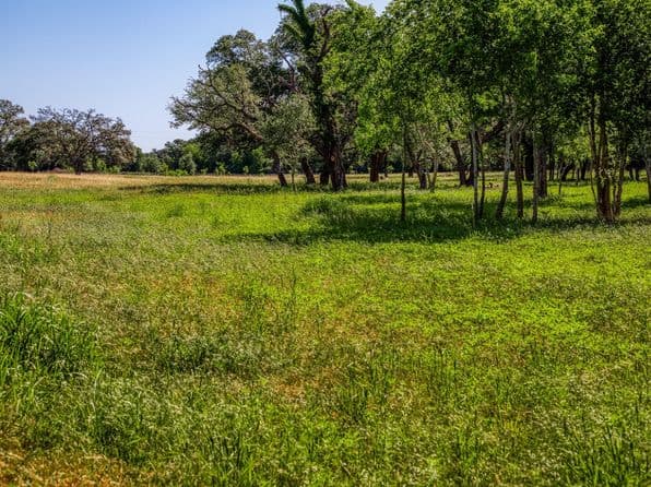 330 N Nassau Rd, Round Top, TX 78954 thumbnail 10