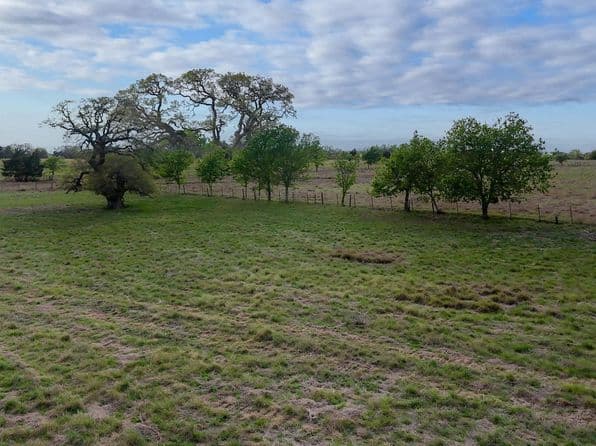 2077 E State Highway 237, Round Top, TX 78954 thumbnail 5