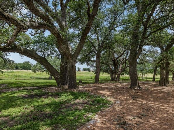 5030 Frenzel Rd, Round Top, TX 78954 thumbnail 6