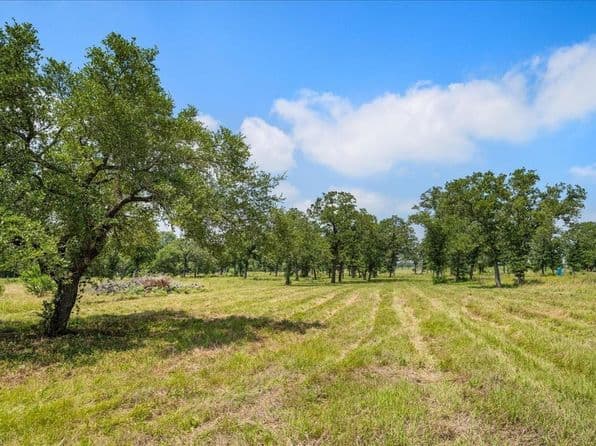 6900 Waldeck Cemetery Rd, Round Top, TX 78954 thumbnail 9