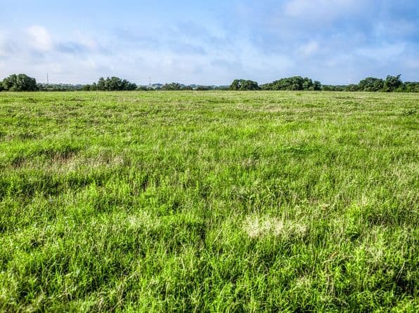 5 S Nassau Rd, Round Top, TX 78954 thumbnail 5