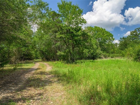 4900 Andreas Rd, Round Top, TX 78954 thumbnail 4