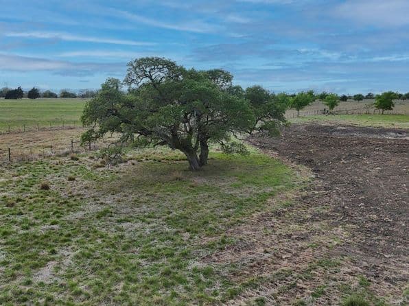 2077 E State Highway 237, Round Top, TX 78954 thumbnail 3