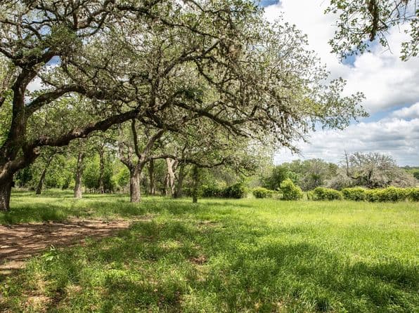 1503 N State Highway 237, Round Top, TX 78954 thumbnail 9