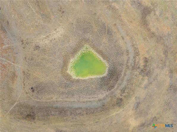 1310 N Nassau Rd, Round Top, TX 78954 thumbnail 3