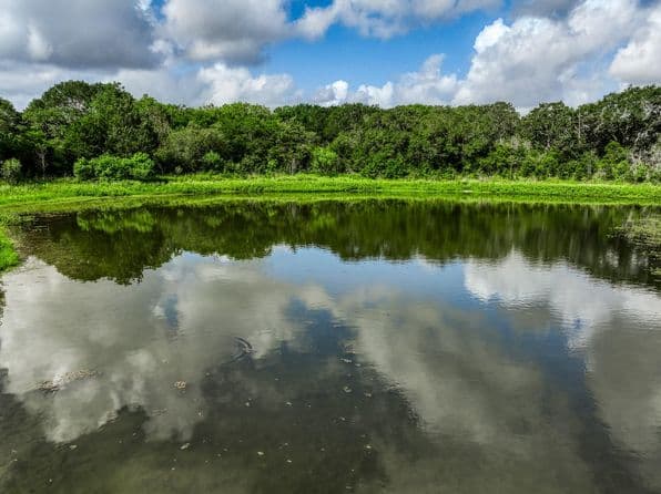 2 S Nassau Rd, Round Top, TX 78954 thumbnail 2