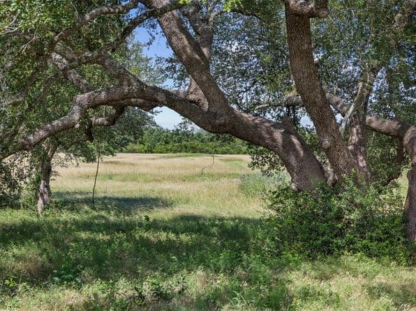 W Fm 1291 Tract 2, Round Top, TX 78954 thumbnail 6