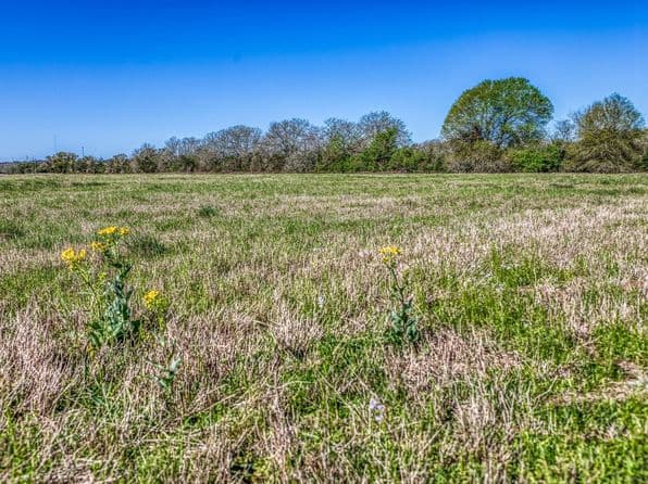 11646 Schuster Rd, Round Top, TX 78954 thumbnail 6