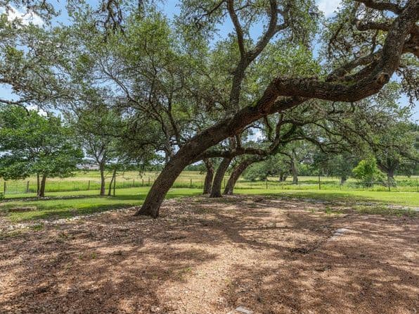 5030 Frenzel Rd, Round Top, TX 78954 thumbnail 9