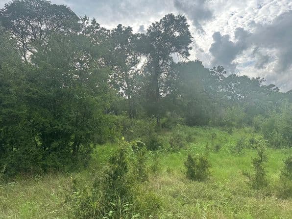 8616 Schuster Rd, Round Top, TX 78954 thumbnail 6