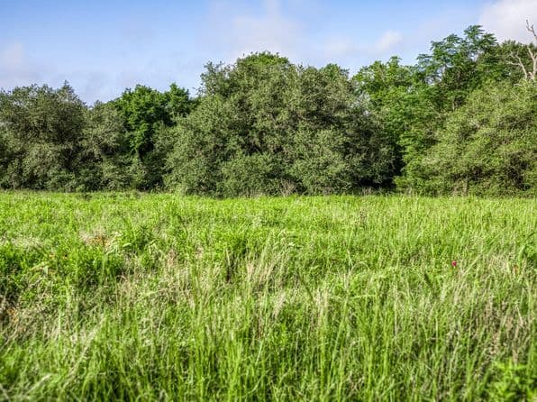 5 S Nassau Rd, Round Top, TX 78954 thumbnail 7