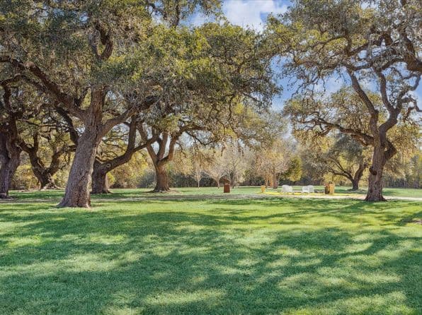 509 N Live Oak St, Round Top, TX 78954 thumbnail 3