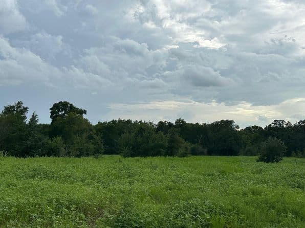 8616 Schuster Rd, Round Top, TX 78954 thumbnail 3