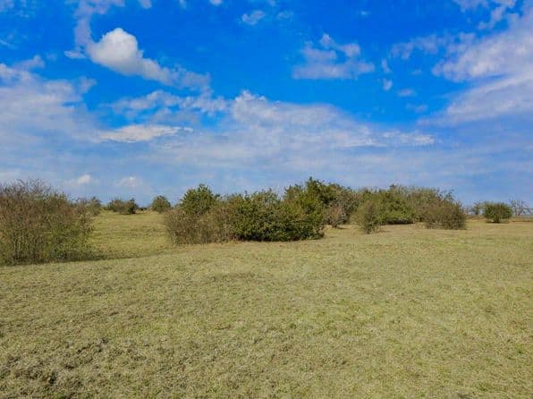 1372 N Nassau Rd, Round Top, TX 78954 thumbnail 4