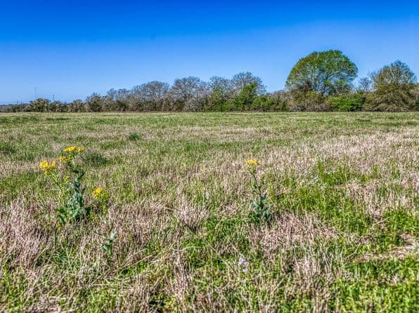 Schuster Rd, Round Top, TX 78954 thumbnail 6