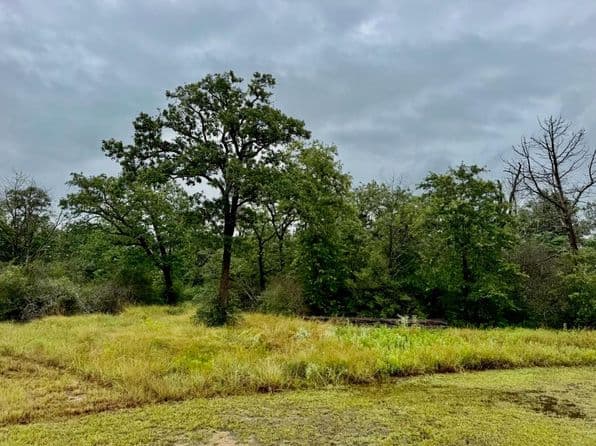 195 Sadie Ln, Round Top, TX 78954