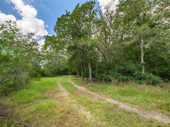 4900 Andreas Rd, Round Top, TX 78954 thumbnail 5