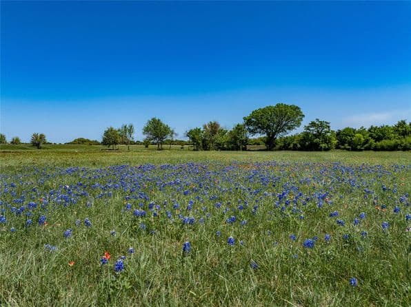 W Fm 1291 Tract 4, Round Top, TX 78954 thumbnail 8