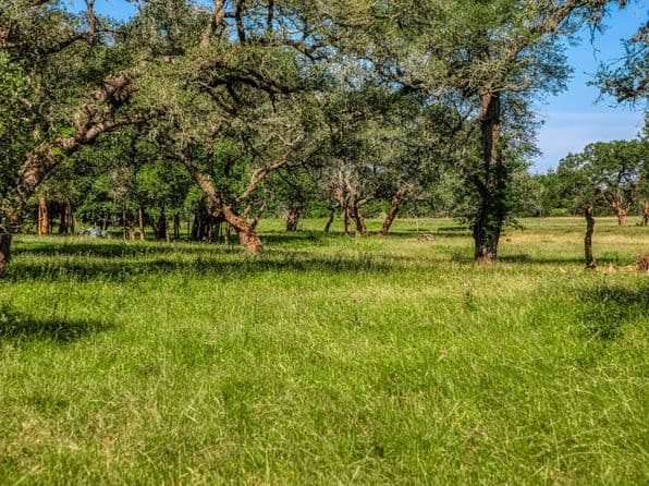 330 N Nassau Rd, Round Top, TX 78954 thumbnail 7