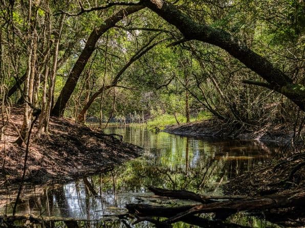 3420 Rohde Rd, Round Top, TX 78954 thumbnail 4