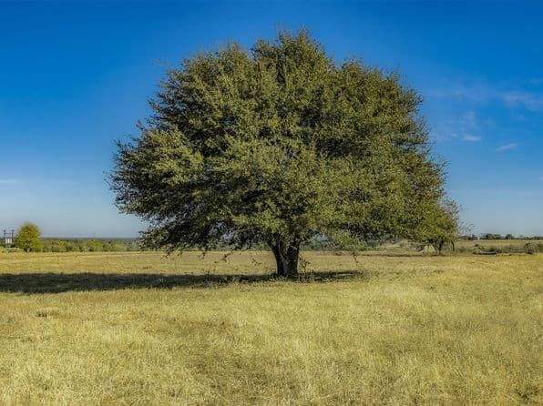 4435 Hartfield Rd, Round Top, TX 78954 thumbnail 7