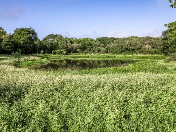 2 S Nassau Rd, Round Top, TX 78954 thumbnail 5