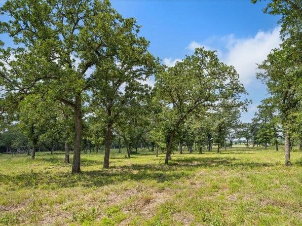 6900 Waldeck Cemetery Rd, Round Top, TX 78954 thumbnail 7