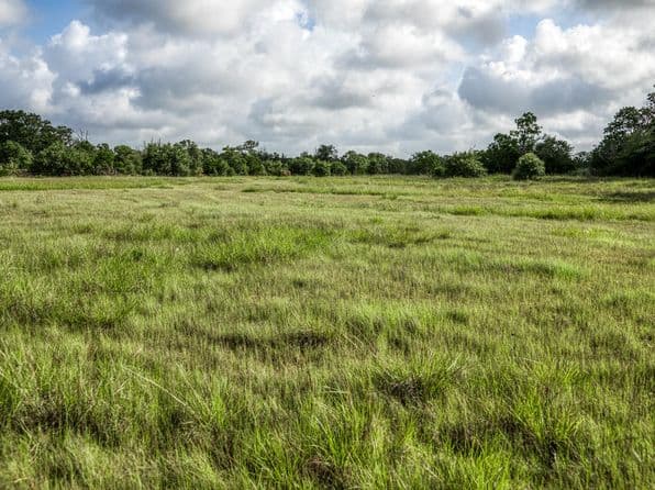 7 S Nassau Rd, Round Top, TX 78954 thumbnail 5